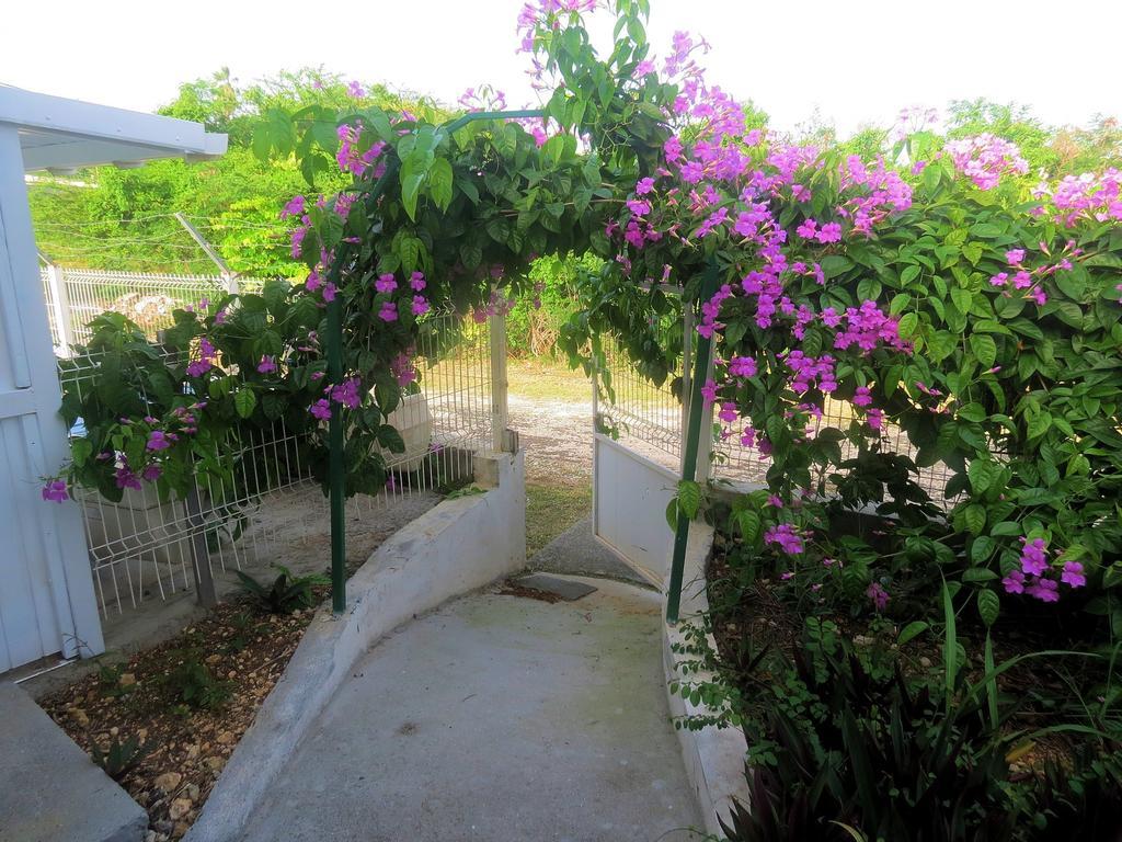 Bungalow Soleil Sainte-Anne  Dış mekan fotoğraf