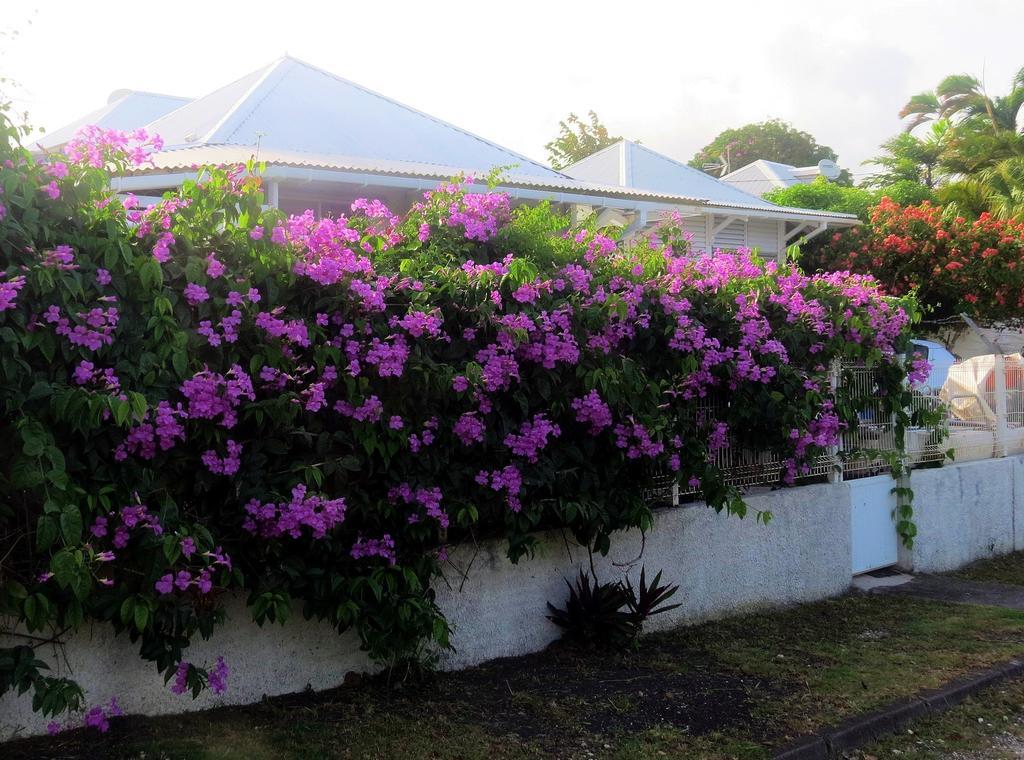 Bungalow Soleil Villa Sainte-Anne  Dış mekan fotoğraf